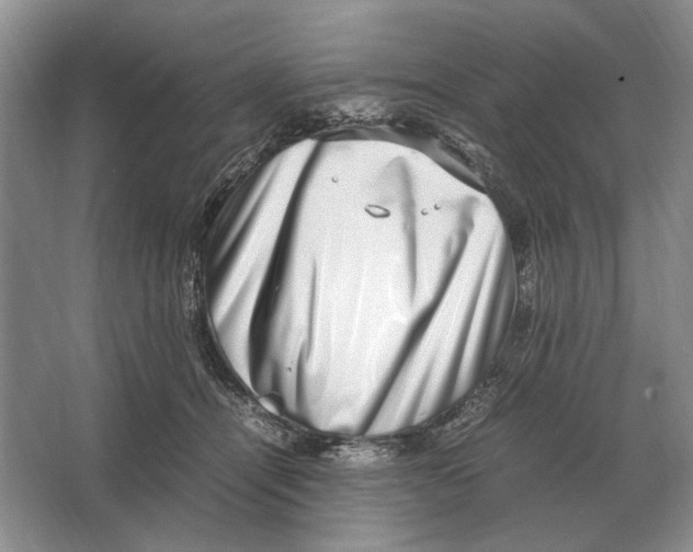 X0000064770464200603031830