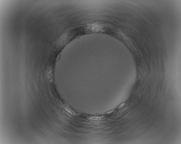 X0000064770465200603031830