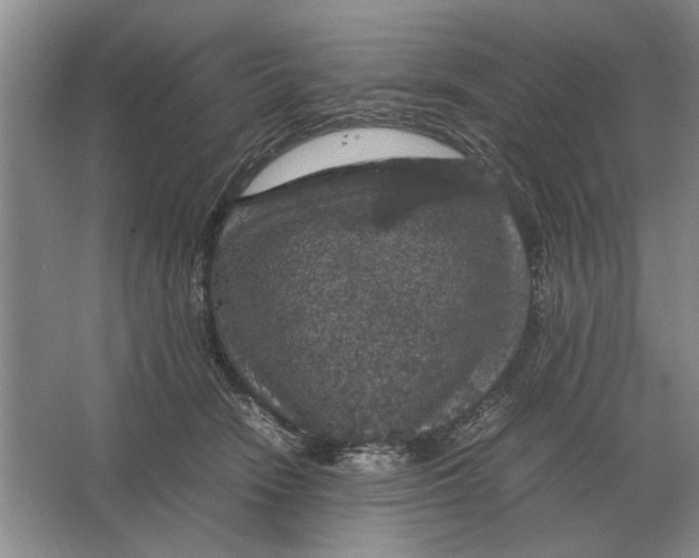 X0000064770466200603031830