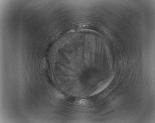 X0000064770467200603031830