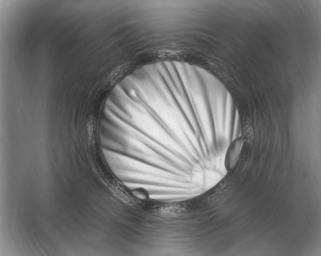 X0000064770468200603031830