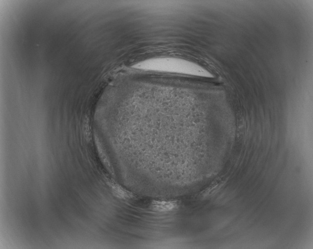 X0000064770469200603031830