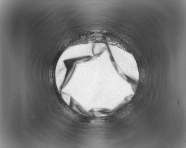 X0000064770470200603031830