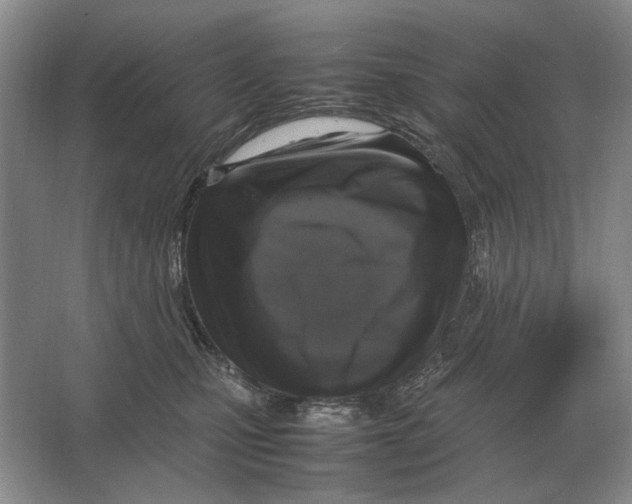 X0000064770471200603031830