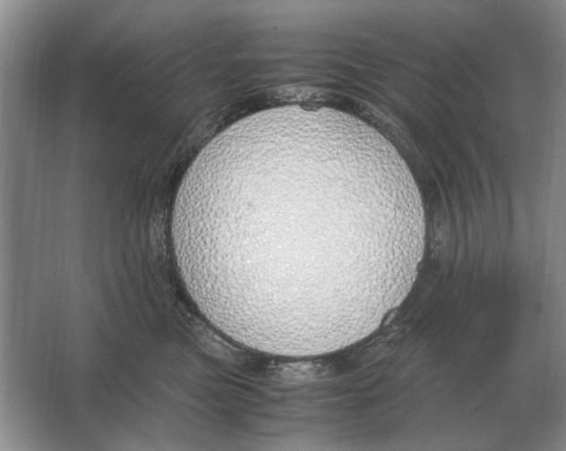 X0000064770473200603031830