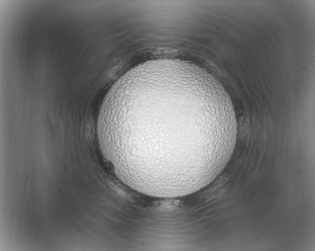 X0000064770474200603031830