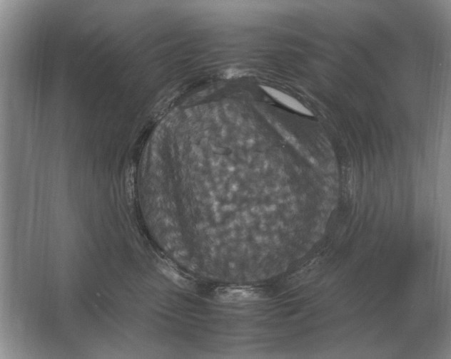 X0000064770475200603031830