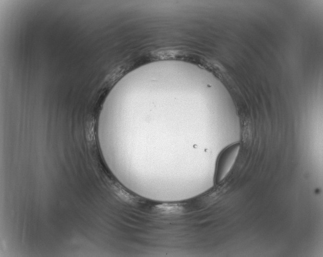 X0000064770477200603031830