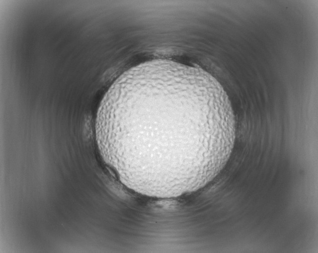 X0000064770478200603031830