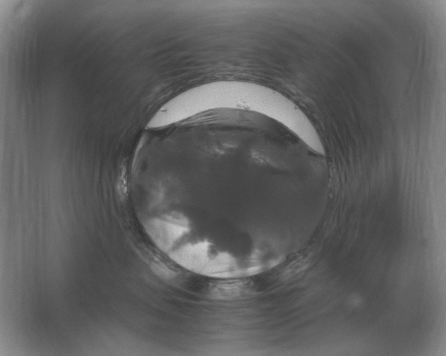 X0000064770479200603031830