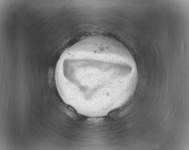 X0000064770480200603031830