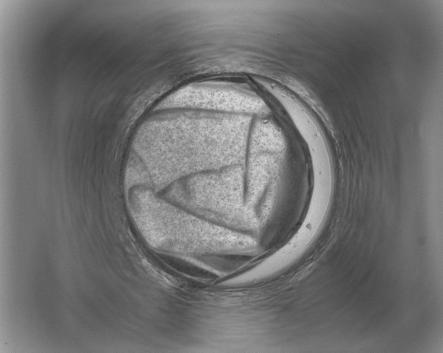 X0000064770481200603031829