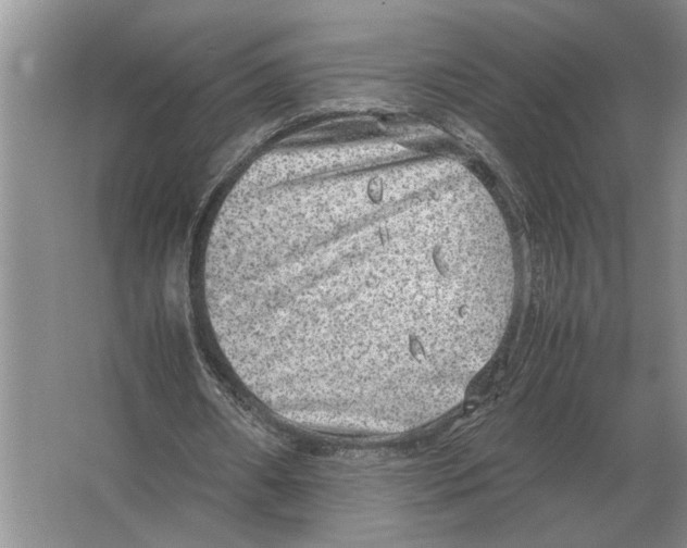 X0000064770482200603031829