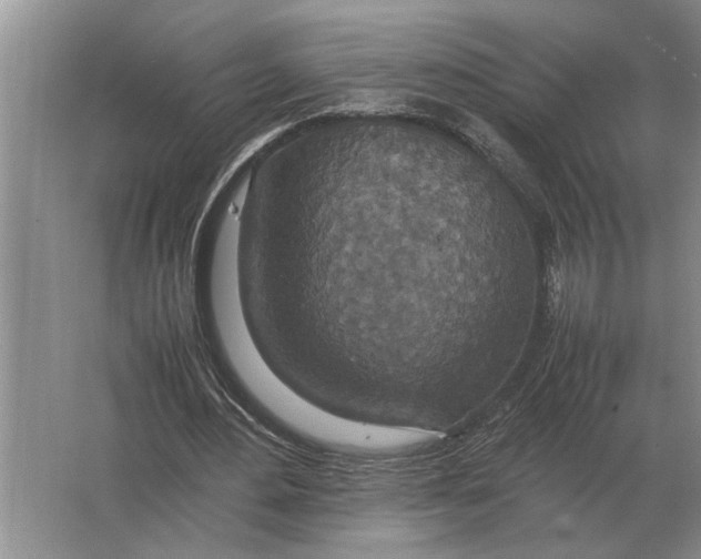 X0000064770484200603031829