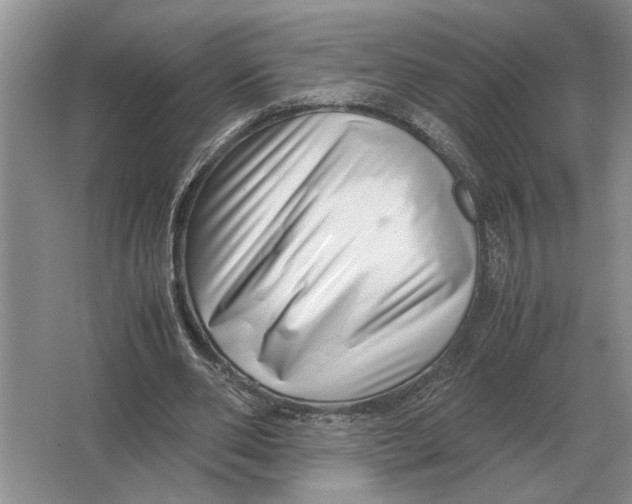 X0000064770486200603031829