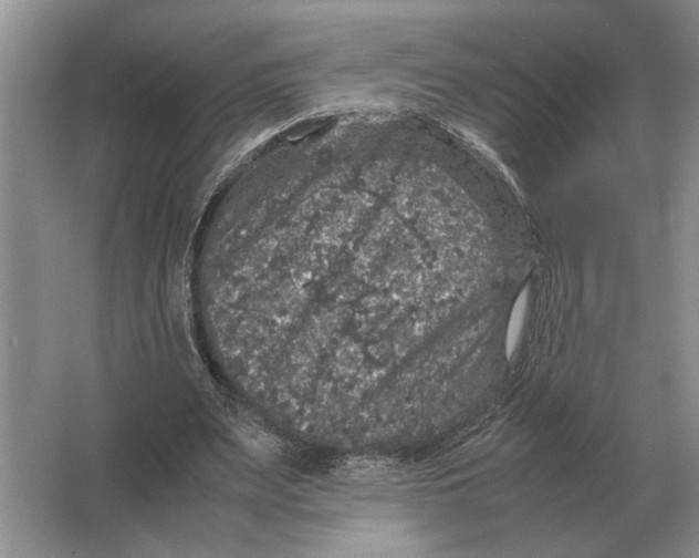 X0000064770487200603031829