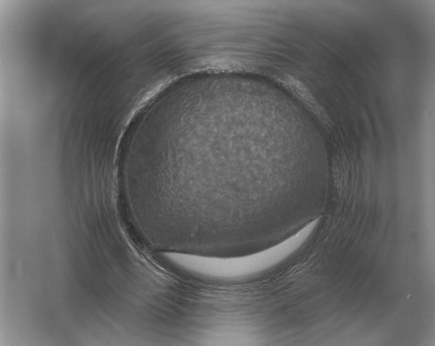 X0000064770488200603031829