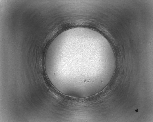 X0000064770489200603031829