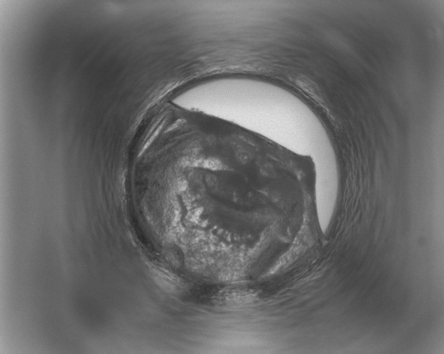 X0000064770491200603031829