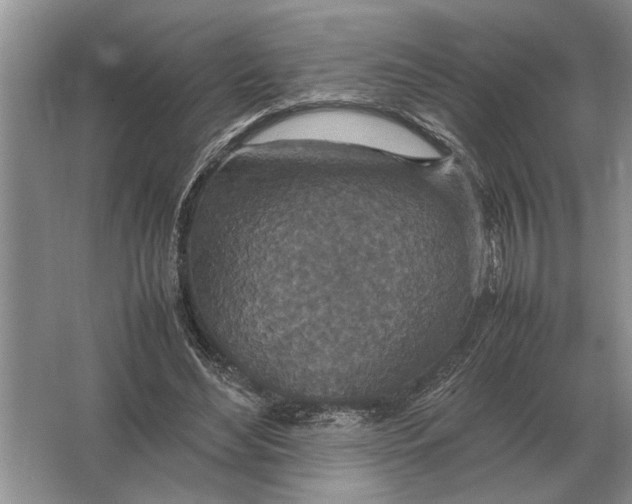 X0000064770492200603031829