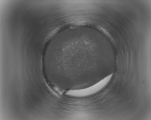 X0000064770493200603031829