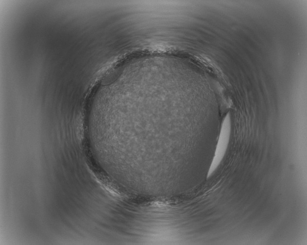 X0000064770496200603031829