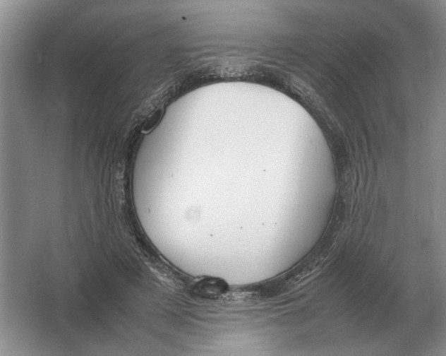 X0000064770497200603031829