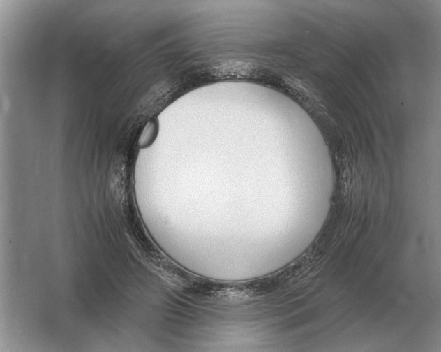 X0000064770498200603031829