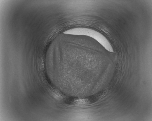 X0000064770499200603031829