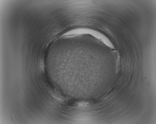 X0000064770500200603031829