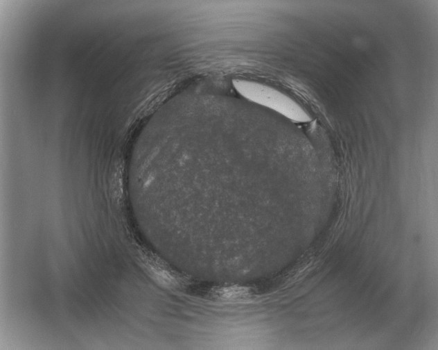 X0000064770501200603031829