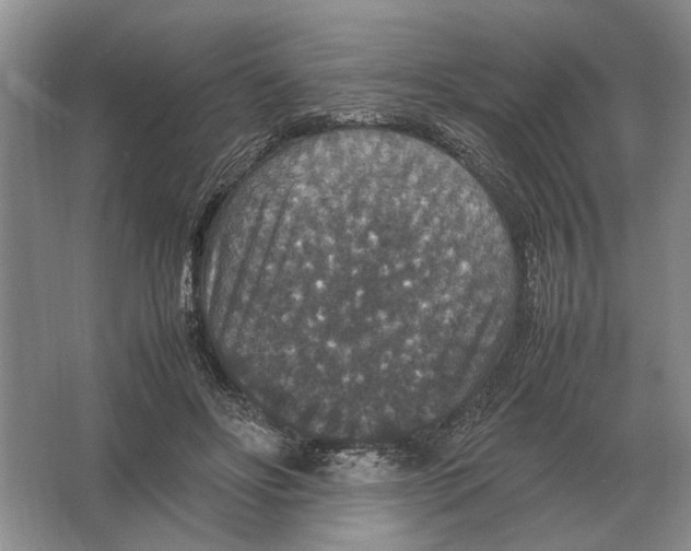 X0000064770502200603031829