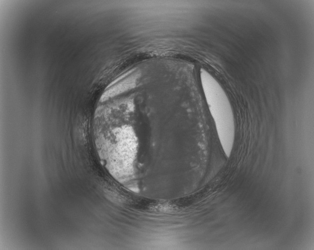 X0000064770503200603031829