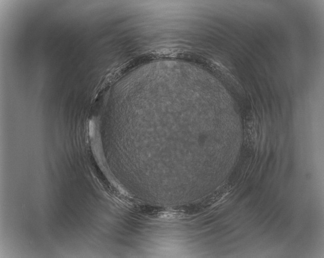 X0000064770504200603031829