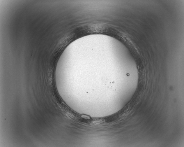 X0000064770505200603031829