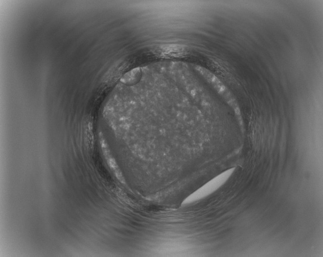 X0000064770506200603031829