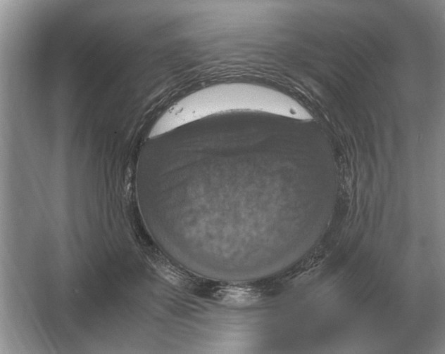 X0000064770507200603031829