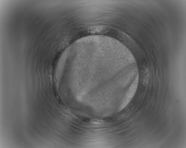 X0000064770510200603031829