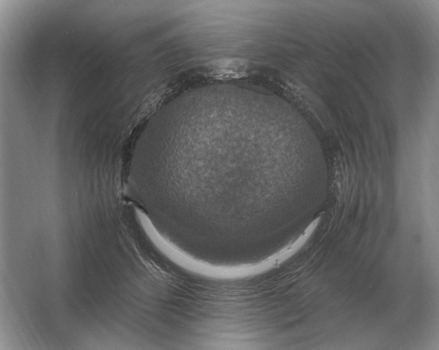 X0000064770512200603031829