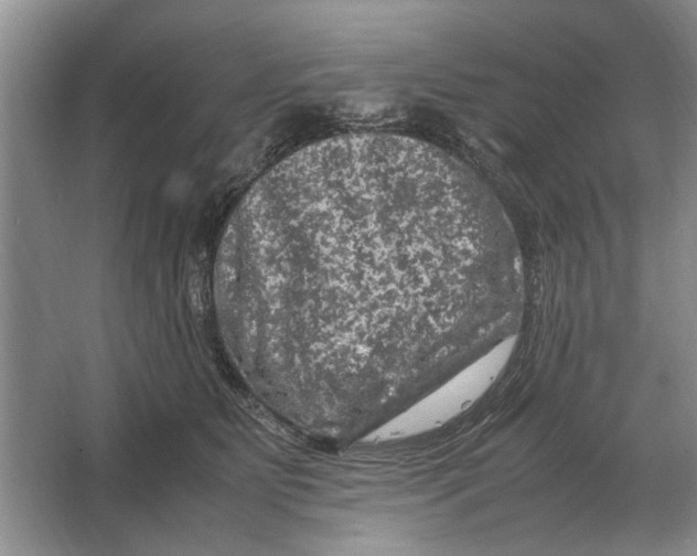 X0000064770515200603031829