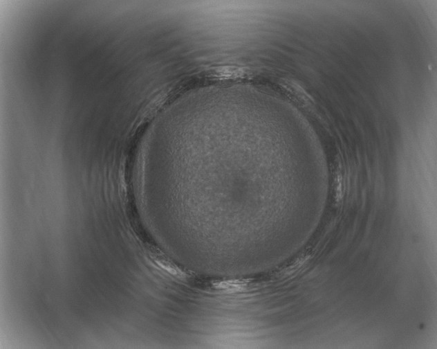 X0000064770516200603031829