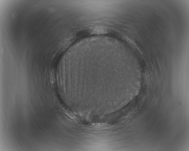 X0000064770517200603031829