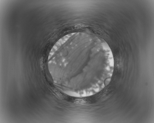 X0000064770519200603031829