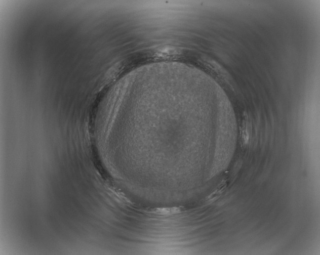 X0000064770520200603031829