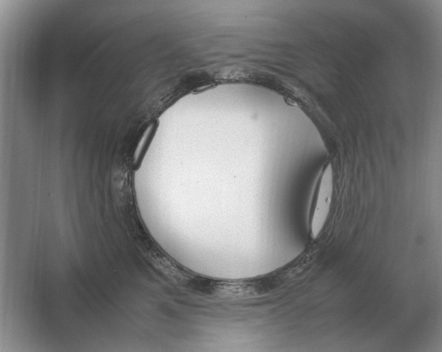 X0000064770521200603031829