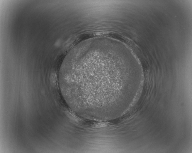 X0000064770523200603031828