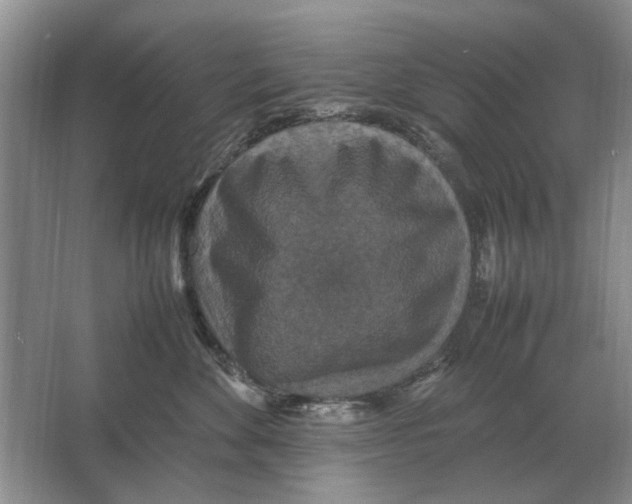 X0000064770524200603031828