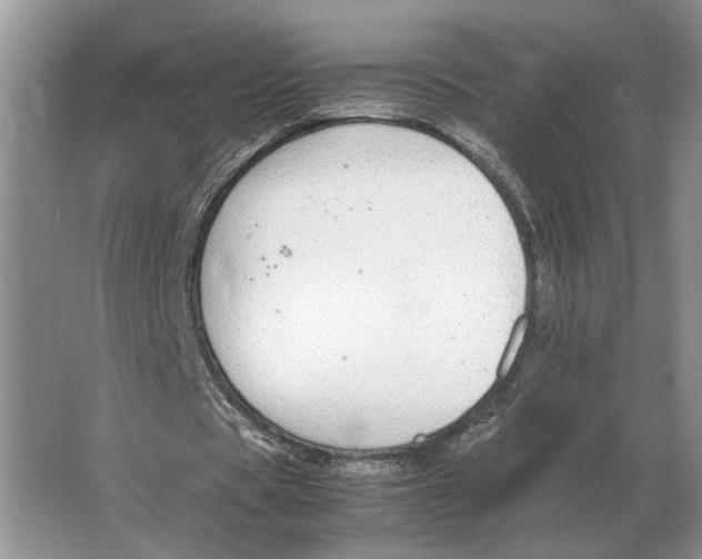 X0000064770529200603031828