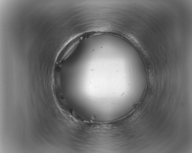 X0000064770532200603031828