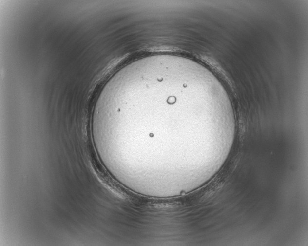 X0000064770533200603031828